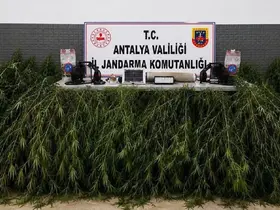 Aksu’da yasadışı kenevir operasyonu
