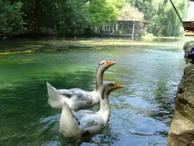 Akyaka’yı aratmayan Bucak Vadisi doğaseverlerin gözdesi
