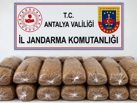 Alanya’da 144 kilo kaçak tütün ele geçirildi
