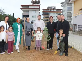 Alanya’da minik eller zeytin fidanlarını toprakla buluşturdu
