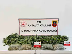 Alanya’da uyuşturucu operasyonunda 24 kök kenevir ve 2 kilo 642 gram esrar ele geçirildi
