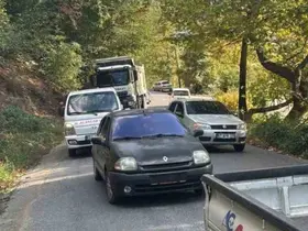 Alaplı’da yola devrilen ağaç, vatandaşlar  tarafından kaldırıldı
