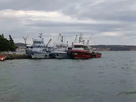 Aliağa’da poyraz fırtınası balıkçıları limana bağladı
