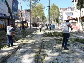 Alikahya Tramvay Hattı’nda ağaçlar budanıyor
