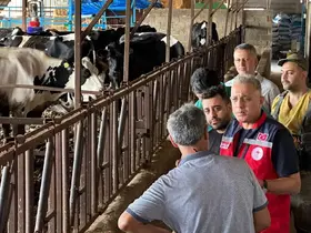Altınözü’nde hastalıktan ari işletme sayısının artırılması için çalışma yürütülüyor
