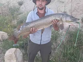 Amatör balıkçıdan 112 santimetrelik av
