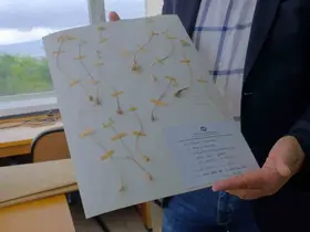 Anadolu Üniversitesi’nden dünya literatürüne iki yeni endemik tür
