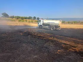 Anız yangını makilik alana sırçadan söndürüldü
