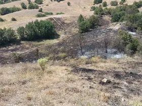 Anız yangınında yaklaşık 25 dönüm arazi küle döndü
