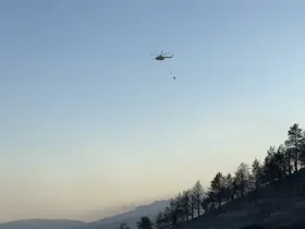 Ankara-Çankırı sınırındaki orman yangını 60 personel ve 14 aracın müdahalesiyle söndürüldü
