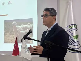 Ankara keçisinin geleceği için çalıştay düzenlendi
