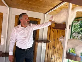 Ankara kedileri 27 ülkede 7 gün 24 saat canlı izlenebiliyor
