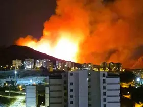 Ankara’da ağaçlık alanda yangın
