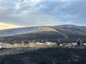 Ankara’da otluk alanda çıkan yangın kontrol altına alındı
