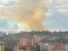 Ankara’da otluk alanda yangın çıktı
