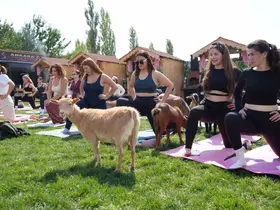 Ankara’da spora cüce keçiler de eşlik etti

