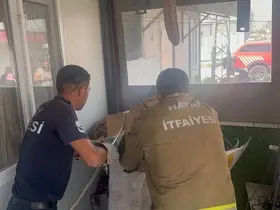 Antakya’da eve giren yılanı itfaiye yakaladı
