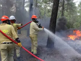 Antalya 2 bin 400 personel, 251 adet hava ve kara aracı ile muhtemel orman yangınlarına hazır
