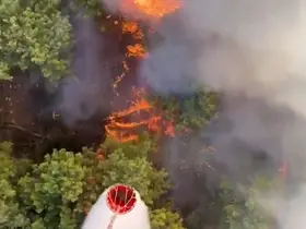 Antalya Aksu’da orman yangını
