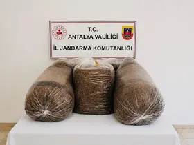 Antalya’da kaçak tütün operasyonunda 365 kilo tütün ele geçirildi
