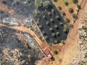 Antalya’da ormanlık alanı tehdit eden yangın

