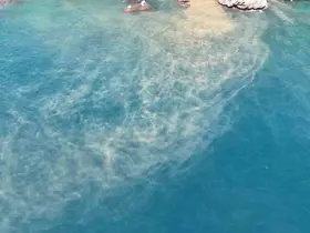 Antalya’da sahile ulaşan atık su görüntülerine soruşturma
