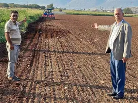 Araban Ovası’nda tecilli Araban sarımsağı ekimine başladı

