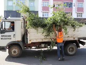 Ardahan Belediyesi’nden ağaç budama faaliyeti
