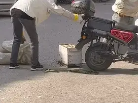 Arılar motosiklette oğul verdi

