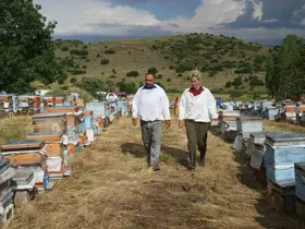 Arıların izinde bir ömür: Karavan desteği gezgin arıcı aileye nefes oldu
