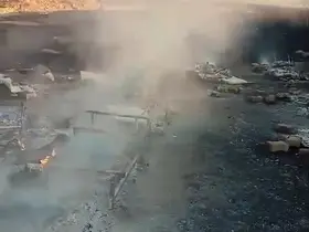 Arılıkta çıkan yangında çok sayıda arı telef oldu
