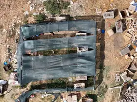 Arnavutköy’de köpeklerin saldırdığı sürüde 3 hayvan telef oldu, 9’u yaralandı
