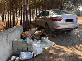 Arsuz’da ağaca çarpan otomobilin sürücüsü yaralandı
