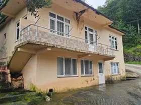 Artvin’de iki katlı evin altından çıkan su görenleri şaşkına çeviriyor
