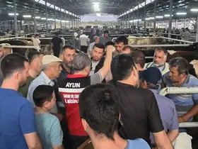 Aydın’da hayvan pazarlarında sıkı denetim
