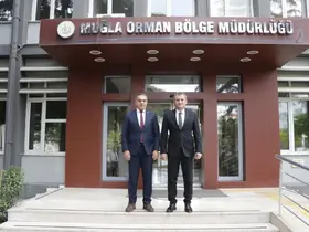 Aydın’da kestane ağaçları biyolojik mücadele ile korunuyor
