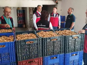 Aydın’da kuru incir için sıkı denetim

