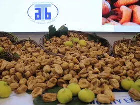 Aydın’da sezonun ilk kuru inciri 850 liradan satıldı
