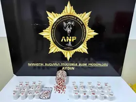 Aydın’da uyuşturucu operasyonu: 2 bin 456 sentetik ecza ele geçirildi
