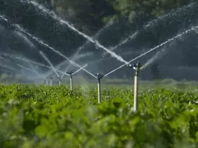 Aydıntepe’de üreticilere doğru sulama çağrısı
