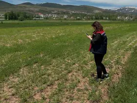 Aydıntepe’de ürün tespit çalışmaları sürüyor
