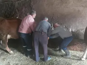 Aydıntepe’de yavru atık bildirimi üzerine saha çalışması yapıldı
