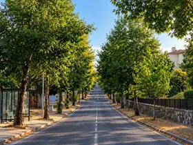 Aynı nokta 4 mevsim
