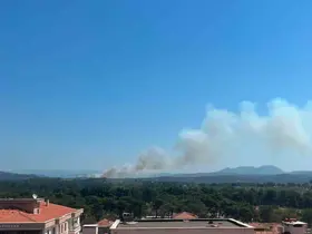 Ayvacık’ta otluk alanda yangın çıktı