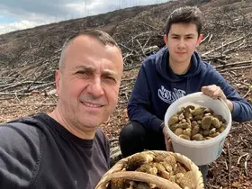Baba ve oğlunun yüzünü güldüren mantar avı
