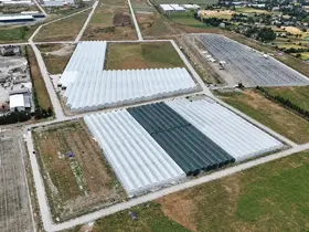 Bafra’da sera organize tarım bölgesinde doluluk yüzde 85’e ulaştı
