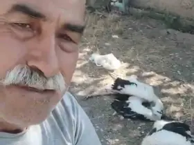 Bahçesindeki leyleklerin öldüğünü görünce gözyaşlarına boğuldu
