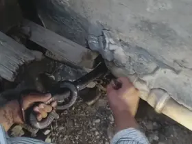 Bakmaya bile korkanlar varken o koluna dolanan 1 buçuk metrelik 2 yılanı saklandığı delikte yakaladı
