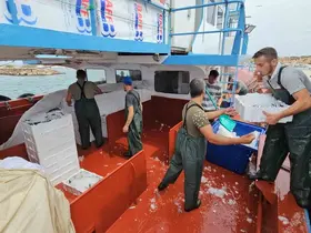 Balık fiyatları 1 ay sonra ucuzlayacak
