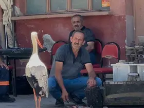 Balıkçı Ahmet ile leyleğin 10 yıllık kahvehane randevusu
